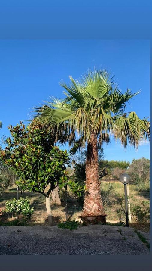 Tenuta Punta Della Suina Villa Gallipoli Kültér fotó